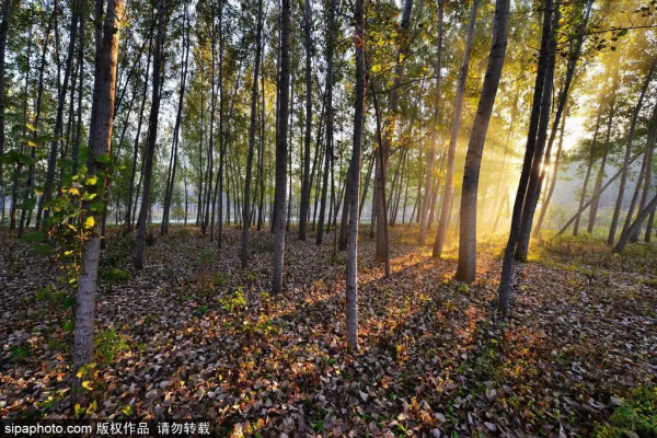 救急！還沒安排小長假？這份指南告訴你京城那些人間值得的自然風光！