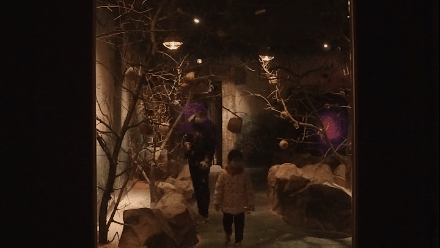 終於打卡了那個不可思議的萌寵館！你們會養這些奇葩寵物嗎？