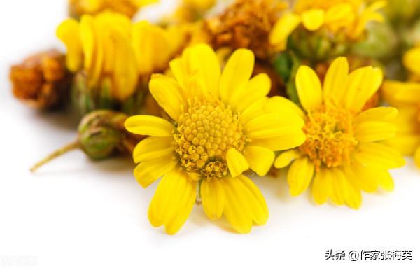 寫給農曆十月初一 寫給農曆十月初一