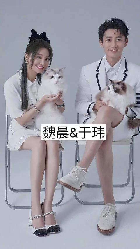 把老婆寵成女兒的男明星