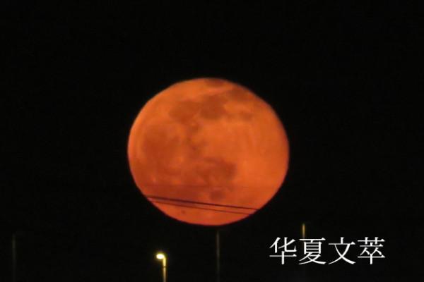 「華夏文萃」特刊 中秋萬家樂 「華夏文萃」特刊 中秋萬家樂