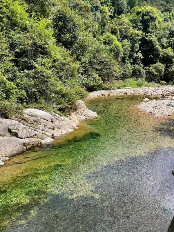 我走進了貴州大山深處的布依族村落,這裡藏著治癒系的秘境寶藏 我走進了貴州大山深處的布依族村落,這裡藏著治癒系的秘境寶藏