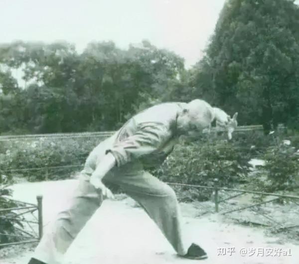 站樁100問││(體式篇)站樁的基本姿勢有哪些?(18) 站樁100問││(體式篇)站樁的基本姿勢有哪些?(18)