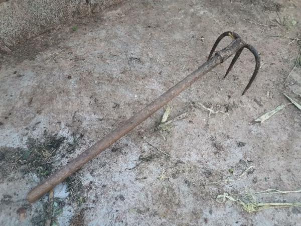 農村老物件，越來越少了，你認得幾樣？