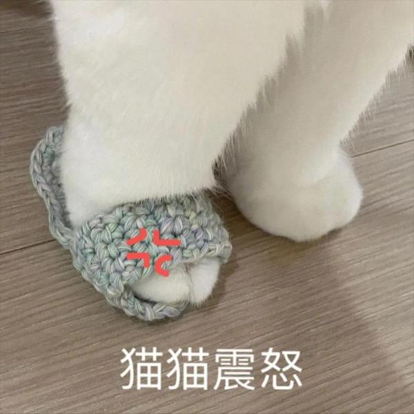 誰能拒絕貓貓表情包