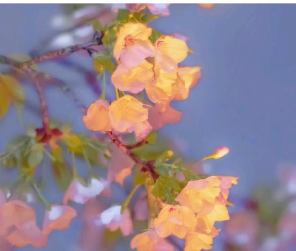 有本事,卻很低調的星座,表面沉默寡言,實際上有手段 有本事,卻很低調的星座,表面沉默寡言,實際上有手段