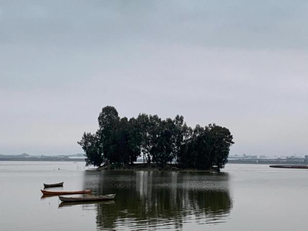 從燈火闌珊出發，尋江南水墨風情