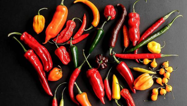 判斷乙肝嚴不嚴重，不止看病毒DNA和表面抗原，關鍵要看這些指標