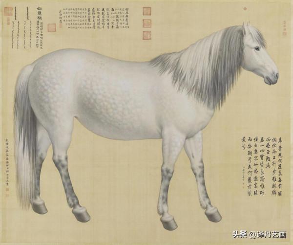 清代畫馬名家郎世寧《十駿圖》欣賞 清代畫馬名家郎世寧《十駿圖》欣賞