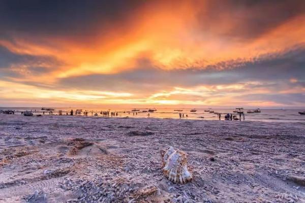 「廣西旅遊」廣西不僅有桂林山水甲天下，還有絕美的海岸線瀑布