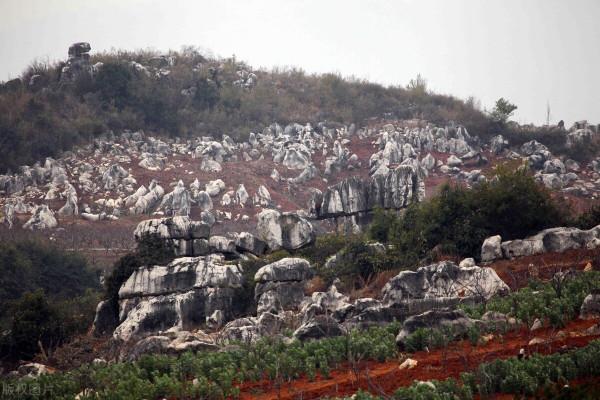 《菜根譚》慾念少一點,快樂多一點 《菜根譚》慾念少一點,快樂多一點