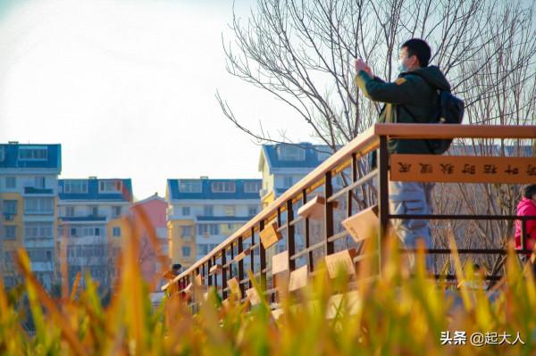 北京龍潭西湖公園重灌後對外開放 頗具園林意境