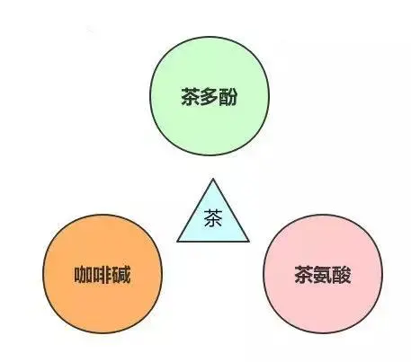 張天福：茶與長壽