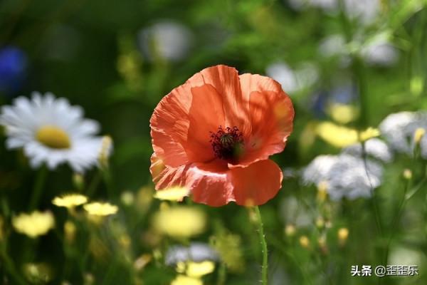 雙子座運勢詳解2&period;21-27，不要把自己逼得太緊，該休息時就休息