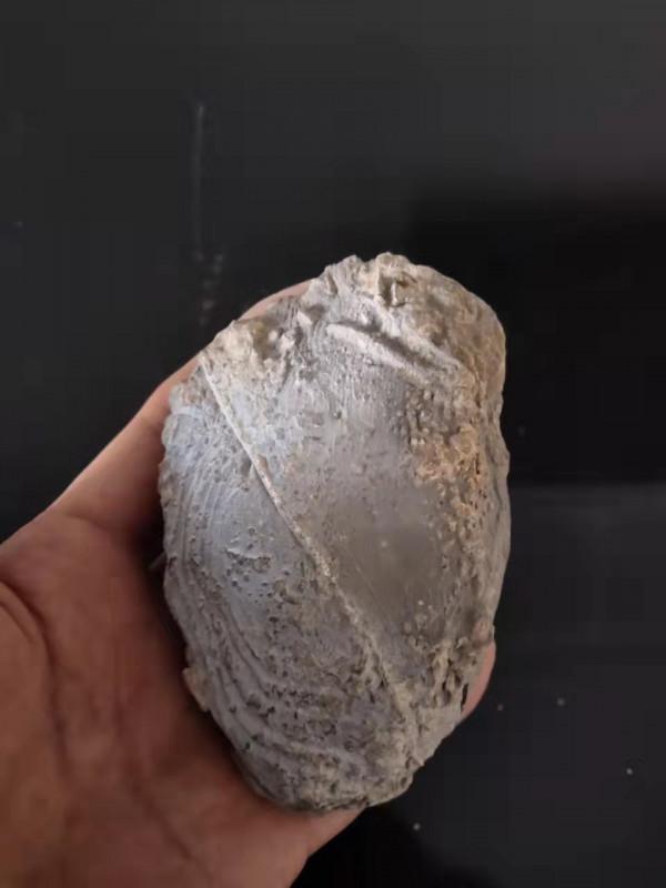 再探靈璧石原產地漁溝早市 再探靈璧石原產地漁溝早市