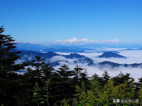 王安石的兩首禪詩，心無牽掛，更彰顯了隱居生活的灑脫和從容