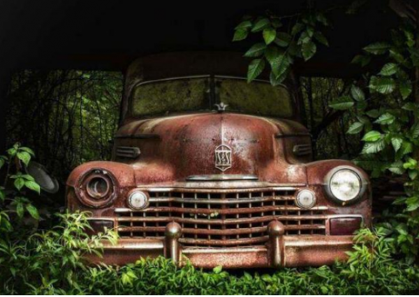 工人修路過程中,無意掘出古墓,專家:墓中埋葬的不是人類 工人修路過程中,無意掘出古墓,專家:墓中埋葬的不是人類