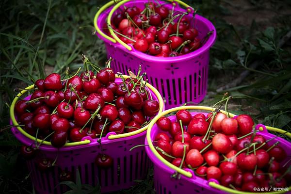 皺紋多半“討厭”這5類水果，女性常吃，或能滋養肌膚、顯年輕