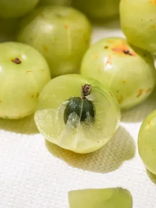 被奈雪、喜茶炒到3個月飆漲10倍，潮汕人：這碗湯怎麼辦？