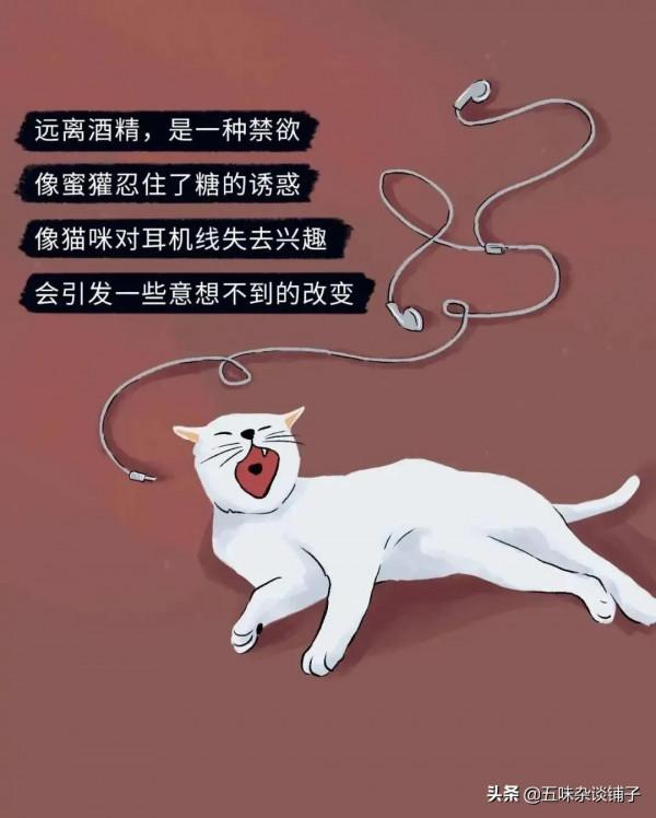 酒那麼難喝，為啥還有人搶著喝？量少，也會傷害身體！（漫畫）