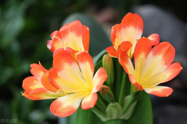 人生的層次,取決於他在低處時的樣子 人生的層次,取決於他在低處時的樣子