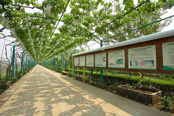 長三角這9條美麗鄉村休閒旅遊行（秋季）路線，你走過幾條？