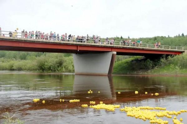 從加拿大到俄羅斯，一隻愛心小黃鴨的奇幻漂流