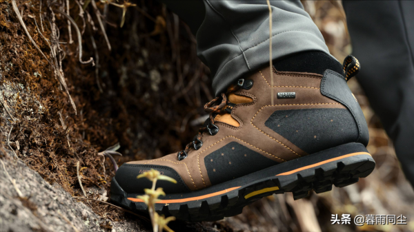 野外如何避免被蛇咬傷，揹包客都應該知道如何處理蛇咬傷的常識