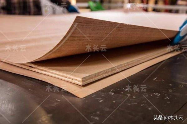 紛紛漲價！國內人造板成本壓力巨大