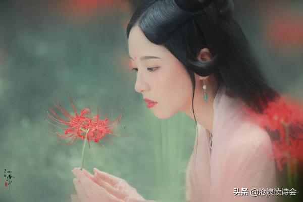 溫一盞茶讀好詩,33首詩寫在深秋,浮生如夢,願你儲存心底的美好 溫一盞茶讀好詩,33首詩寫在深秋,浮生如夢,願你儲存心底的美好