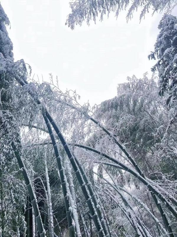 人間最美的溫情，是一碗雞湯的溫暖