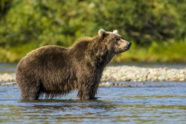 穿越無人區屢禁不止！秦嶺登山線又有人遇難，比可可西里還危險？