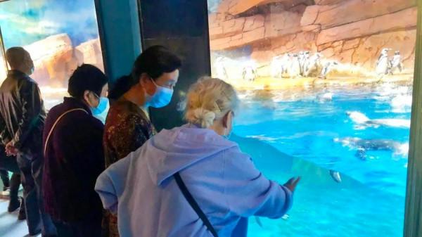 免票！優惠！湖北景區九九重陽節福利請查收