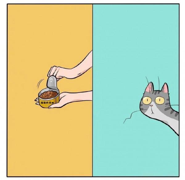 養貓人才會懂的痛:可能這就是愛吧 養貓人才會懂的痛:可能這就是愛吧