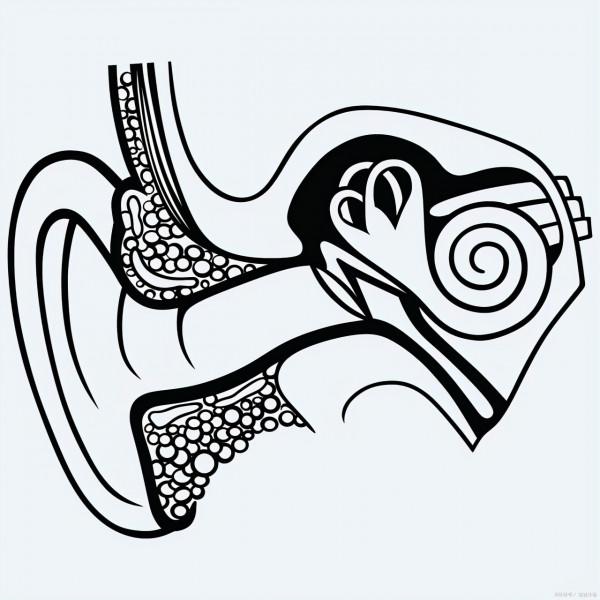 呼吸系統常見疾病及用藥指導