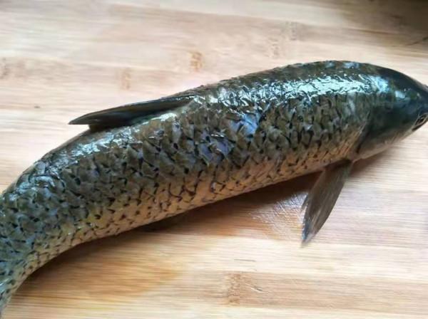 孩子最饞我做的魚，鮮嫩入味，香氣四溢