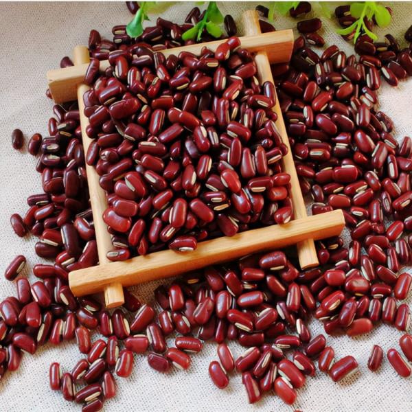 進入寒冬,“3白3黑3紅”該多吃了,順應季節,為明年打好基礎 進入寒冬,“3白3黑3紅”該多吃了,順應季節,為明年打好基礎