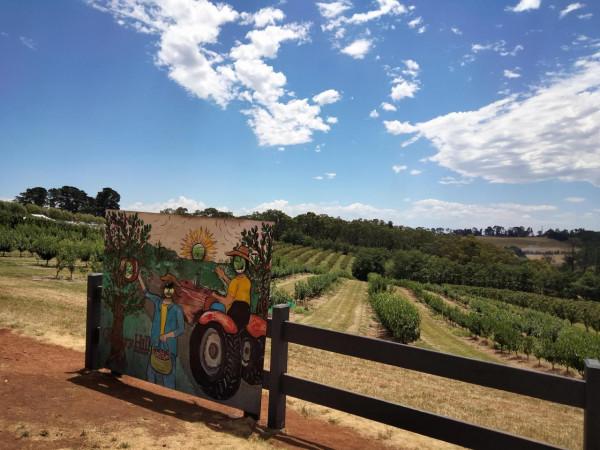 全家歡遊覽，快樂採櫻桃：漢英雙語對照