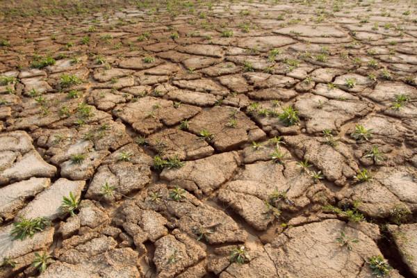 產糧地區遭災了 產糧地區遭災了