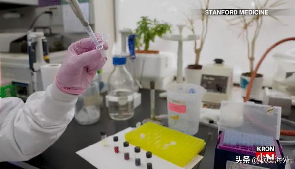 好訊息 斯坦福研發出鼻噴式新冠疫苗