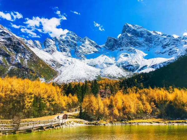 紅葉最佳觀賞期！這些地方全都美成了仙境，趕緊出發