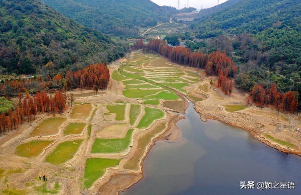 寧波13處紅杉林交通攻略,文明出行,風景更美好 寧波13處紅杉林交通攻略,文明出行,風景更美好