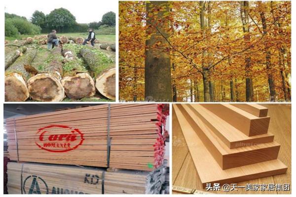 您知道後現代輕奢傢俱風格一般用哪些實木原材嗎？