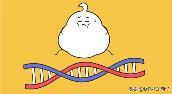 漫畫|減肥讓我胖了 漫畫|減肥讓我胖了