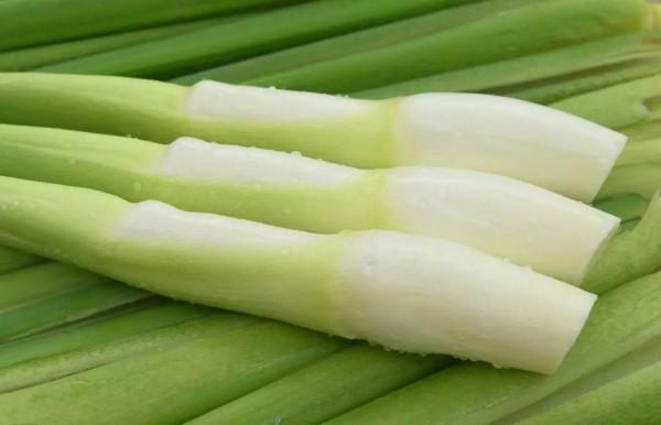 秋天這種菜才上季,雖然便宜,但卻能補鈣,還能增強孩子免疫力 秋天這種菜才上季,雖然便宜,但卻能補鈣,還能增強孩子免疫力