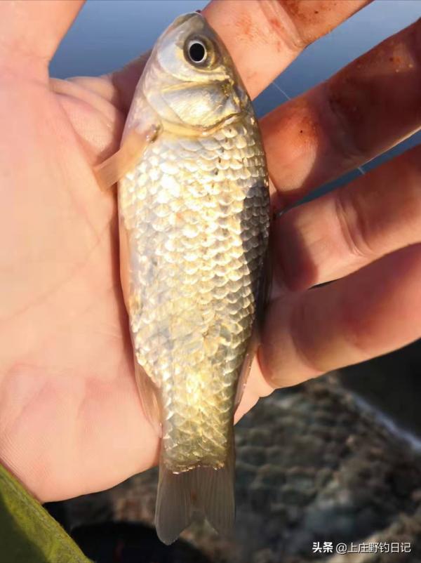 釣魚日記&mdash;&mdash;2021年12月19日