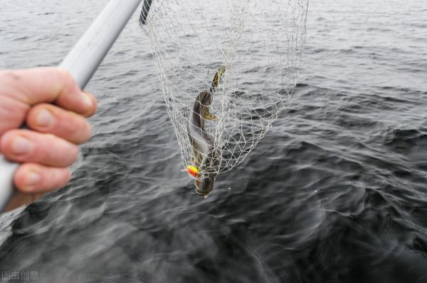 臍帶---親情 臍帶---親情