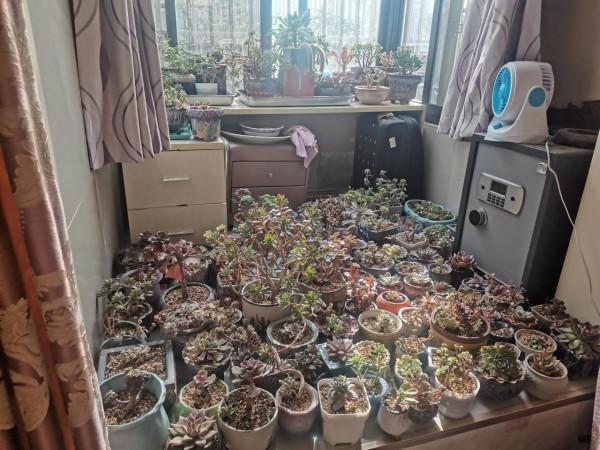 為了過年,拼盡全力去減肥!打卡第六天 為了過年,拼盡全力去減肥!打卡第六天