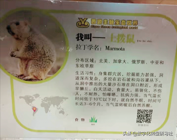 寒冬溜娃好去處-強推西遊王國