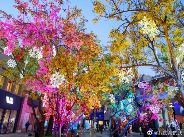 元旦去哪玩？賞花燈、看錶演、戲冰雪……